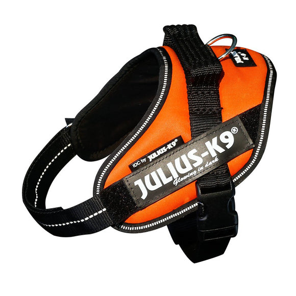 Julius-K9 IDC Powerharness UV Orange – Premium Adjustable Harness, Size 4, High-Visibility Design