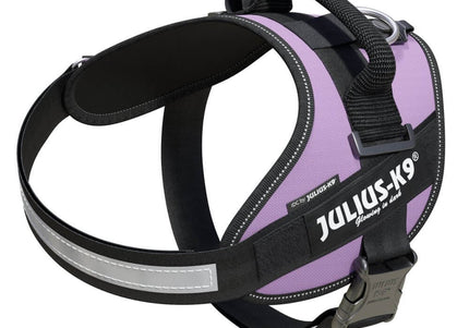 Julius-K9 IDC Powerharness Purple – Premium Adjustable Harness, Size 3, Durable Design