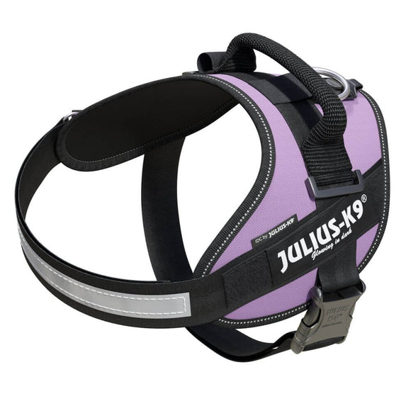 Julius-K9 IDC Powerharness Purple – Premium Adjustable Harness, Size 3, Durable Design