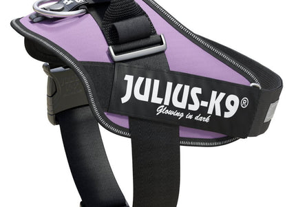 Julius-K9 IDC Powerharness Purple – Premium Adjustable Harness, Size 3, Durable Design