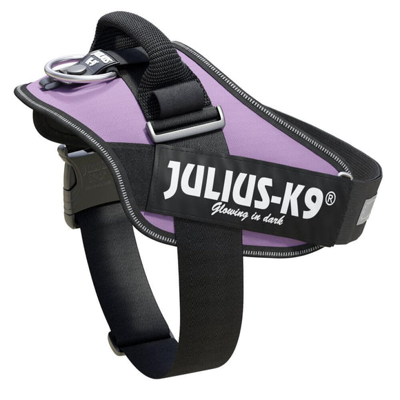 Julius-K9 IDC Powerharness Purple – Premium Adjustable Harness, Size 3, Durable Design
