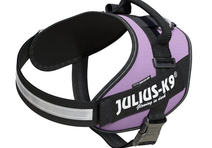 Julius-K9 IDC Powerharness Purple – Premium Adjustable Harness, Size 3, Durable Design