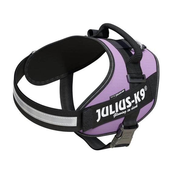 Julius-K9 IDC Powerharness Purple – Premium Adjustable Harness, Size 3, Durable Design