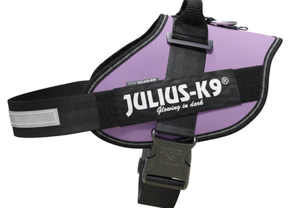 Julius-K9 IDC Powerharness Purple – Premium Adjustable Harness, Size 3, Durable Design