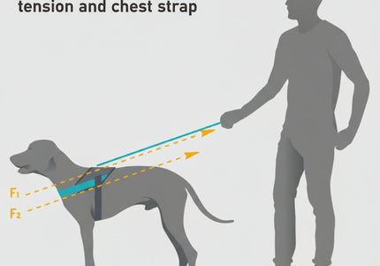 Julius-K9 Street Harness Sky Gray & Neon Lime – XXS, Lightweight Urban Design, Reflective Accents