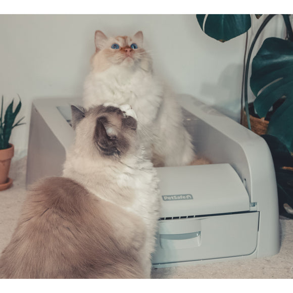 PetSafe Scoop Free Self-Cleaning Litter Box – Automatic Motion Sensor, Low-Maintenance Design