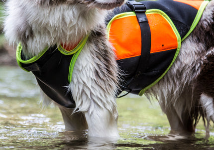 Julius-K9 Multifunctional Orange Vest – Buoyant Supportive Swim and Rehab Aid, Size L