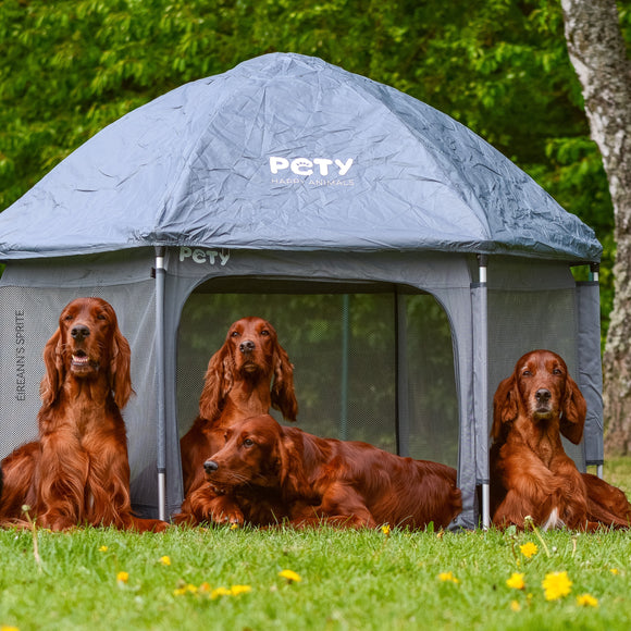 Pety Playpen Big Foldable Dog Tent – Spacious Portable Design with Mat and Cover Included