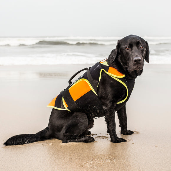 Julius-K9 Multifunctional Orange Vest – Buoyant Supportive Swim and Rehab Aid, Size L