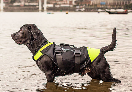 Julius-K9 Multifunctional Neon Vest – Lightweight Swimming and Rehabilitation Support, Size S