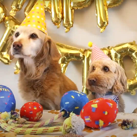 KONG Occasions Birthday Balloon Plush Toy – Large 20cm, Soft Blue, Festive Design