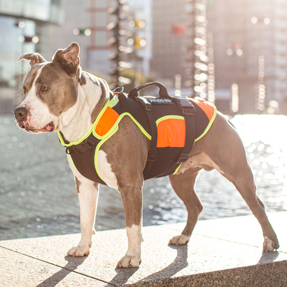 Julius-K9 Multifunctional Orange Vest – Buoyant Supportive Swim and Rehab Aid, Size L