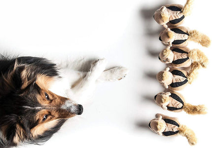 Outward Hound Hide A Squirrels Replacement Plush Toys – Soft Durable Squeaky Set, 3 Pack