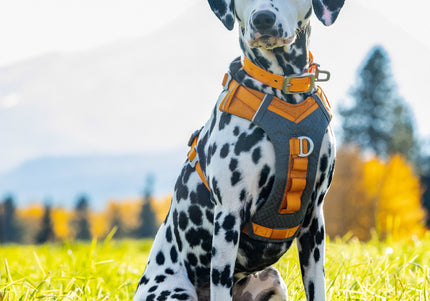 Kurgo Journey Air Harness Orange – Lightweight Breathable Running Harness, Small Size