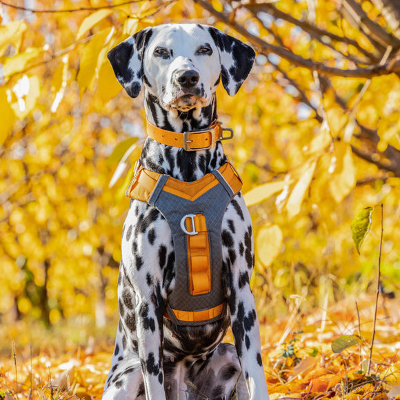 Kurgo Journey Air Harness Orange – Lightweight Breathable Running Harness, Small Size