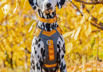 Kurgo Journey Air Harness Orange – Lightweight Breathable Running Harness, Small Size