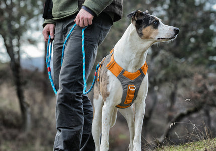 Kurgo Journey Air Harness Orange – Lightweight Breathable Running Harness, Small Size