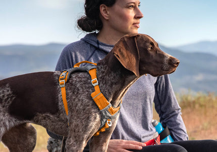 Kurgo Journey Air Harness Orange – Lightweight Breathable Running Harness, Small Size