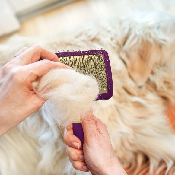 Jelly Pet Pivoting Slicker Brush – Movable Head with Safety Pins, Gentle Detangling Design