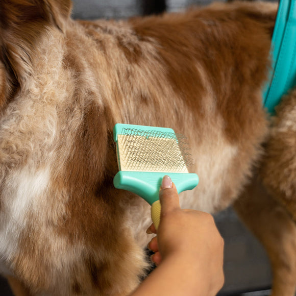 Jelly Pet Double-Sided Flexible Slicker Brush Large – Dual-Action, Ergonomic Grooming Tool