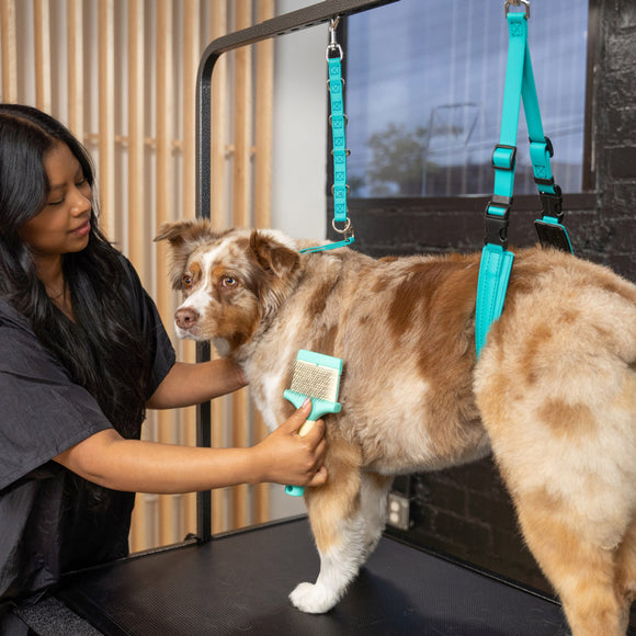 Jelly Pet Double-Sided Flexible Slicker Brush Large – Dual-Action, Ergonomic Grooming Tool