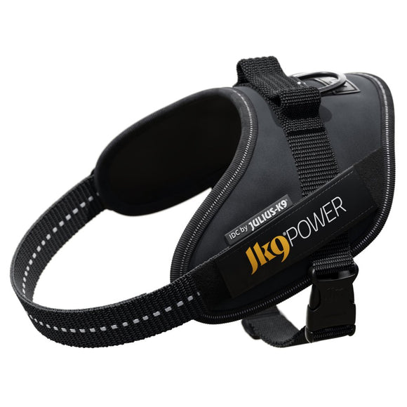 Julius-K9 IDC Powerharness Gray – Premium Adjustable Harness, Mini-Mini Size, Durable Design