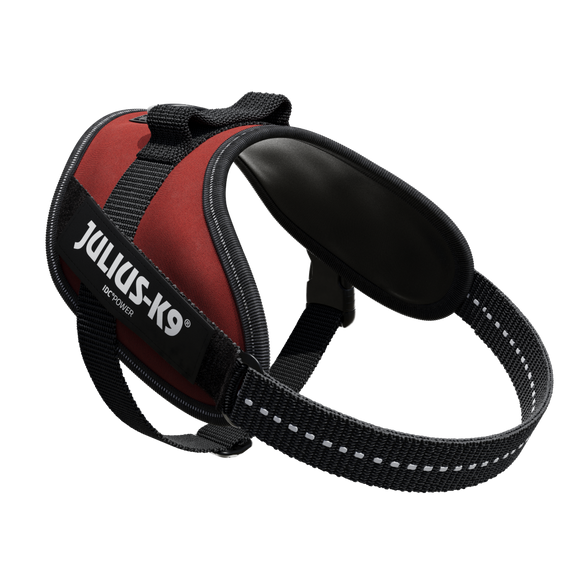 Julius-K9 IDC Powerharness Bordeaux-Brown – Premium Adjustable Dog Harness, Burgundy, Size 3