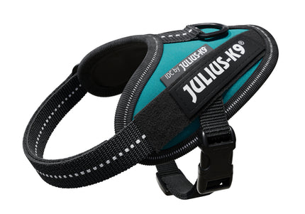 Julius-K9 IDC Powerharness Petrol Green – Top Quality Sea Green Harness, Size 4