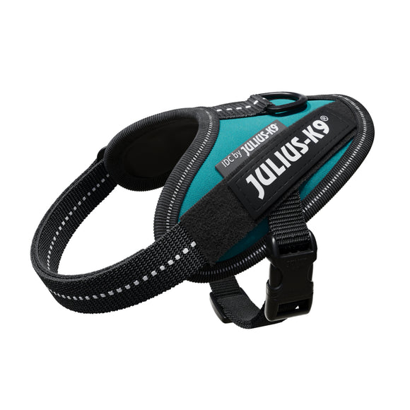 Julius-K9 IDC Powerharness Petrol Green – Top Quality Sea Green Harness, Size 4