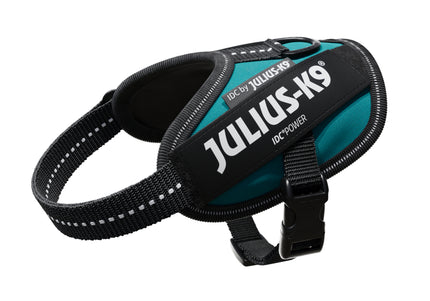 Julius-K9 IDC Powerharness Petrol Green – Top Quality Sea Green Harness, Size 4
