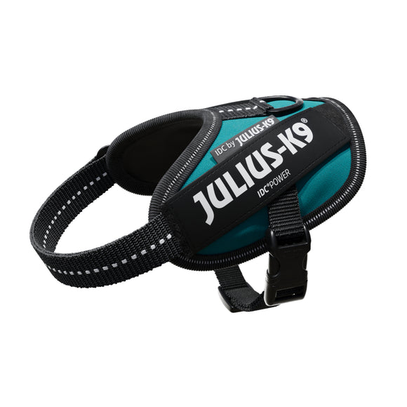 Julius-K9 IDC Powerharness Petrol Green – Top Quality Sea Green Harness, Size 4