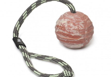 Julius K9 Rubber Ball with Handle – Medium Durable Training Toy, Non-Toxic Material