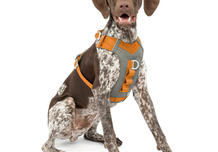 Kurgo Journey Air Harness Orange – Lightweight Breathable Running Harness, Small Size