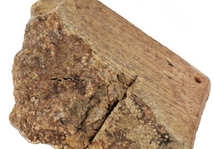 Best Bone Radice Di Erica Briar Root Chew – Large Size, Durable Natural Dog Toy