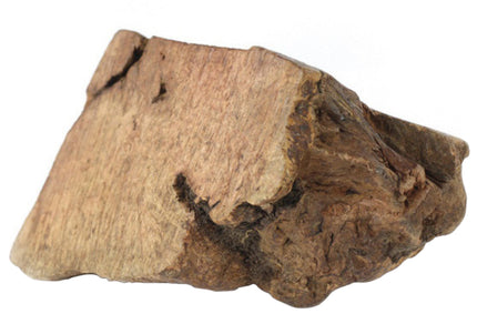 Best Bone Radice Di Erica Briar Root Chew – Large Size, Durable Natural Dog Toy