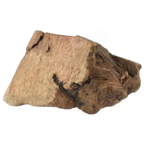 Best Bone Radice Di Erica Briar Root Chew – Large Size, Durable Natural Dog Toy