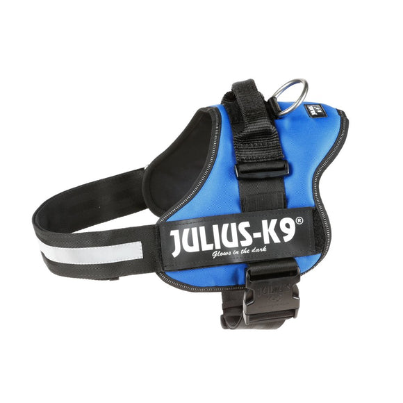 Julius K9 Powerharness Blue – Adjustable Dog Harness with Reflective Straps, Durable Design