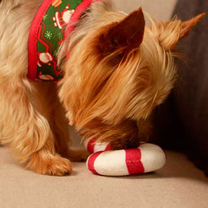 Dashi Xmas Plush Kane 17cm – Festive Plush Candy Cane Toy with Rustling Sound