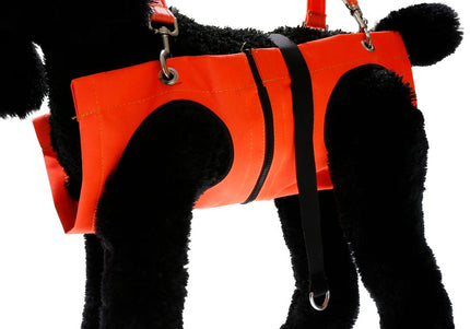 Kiss Grooming Hammock – Supportive Grooming Sling 55x40.5cm, Eases Claw Trimming Sessions