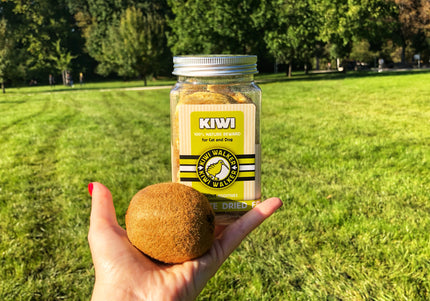 Kiwi Walker Snacks Kiwi 40g – 100% Freeze-Dried Natural Kiwi Treats, Single Ingredient