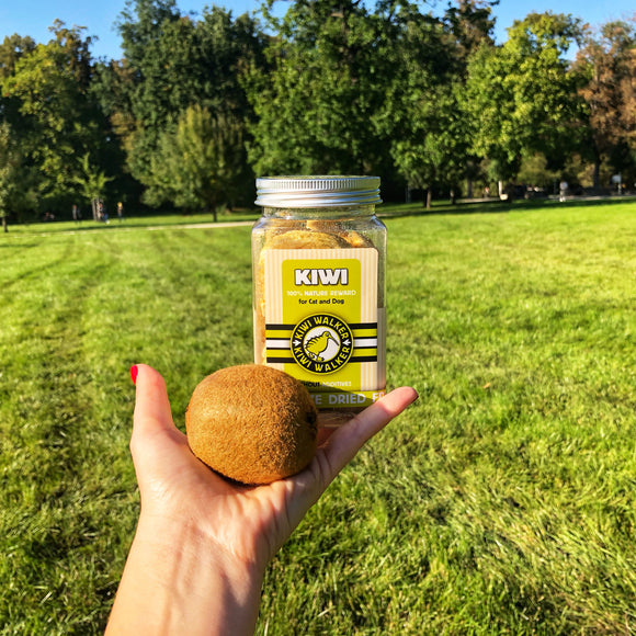 Kiwi Walker Snacks Kiwi 40g – 100% Freeze-Dried Natural Kiwi Treats, Single Ingredient