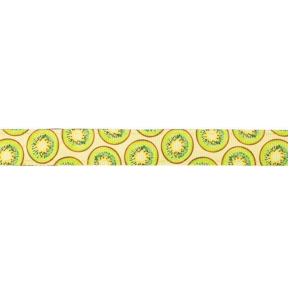 Max&Molly GOTCHA! Smart ID Cat Collar Kiwi – Colorful Adjustable Collar with Integrated Smart Tag