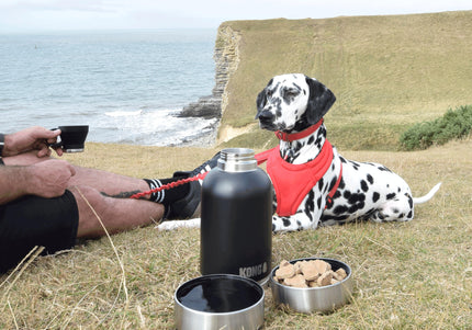 KONG Duo Day Trek Travel Bottle – 4-in-1 Hydration Set with Cup and Two Bowls, 1820ml