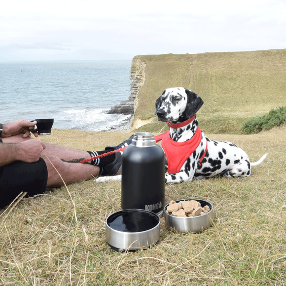 KONG Duo Day Trek Travel Bottle – 4-in-1 Hydration Set with Cup and Two Bowls, 1820ml