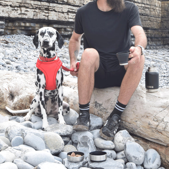 KONG Duo Day Trek 4-in-1 Travel Bottle – 910ml, Includes Cup and Two Bowls, Versatile Design