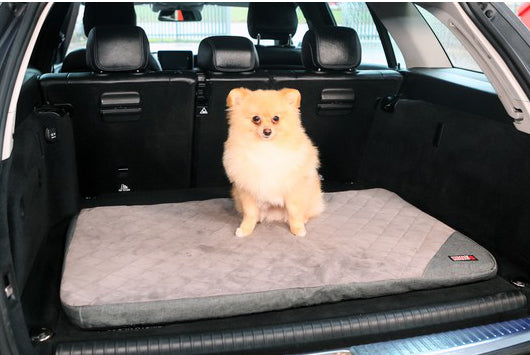 KONG Travel Fold-Up Mat – Foldable Portable Dog Bed, Lightweight and Compact Design, 90x60x4cm