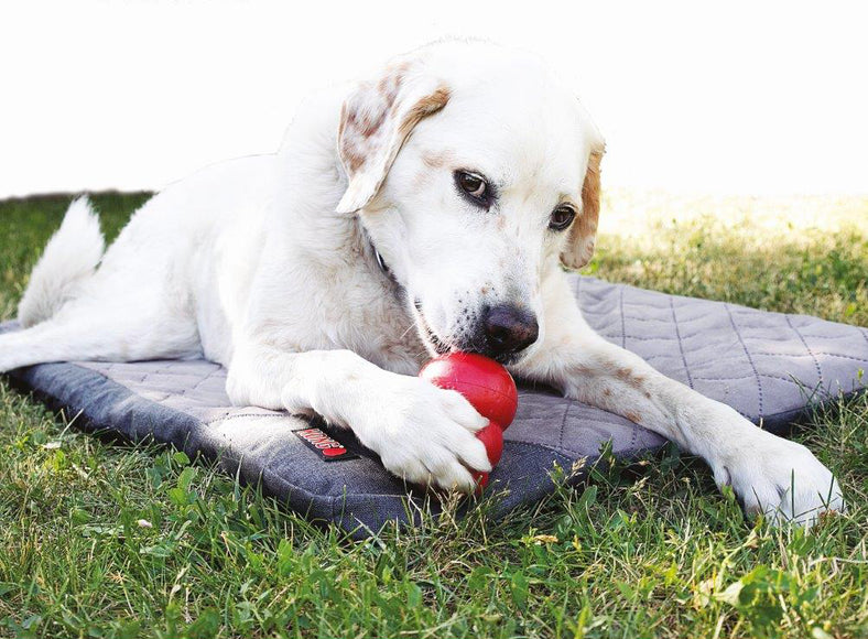 KONG Travel Fold-Up Mat – Foldable Portable Dog Bed, Lightweight and Compact Design, 90x60x4cm