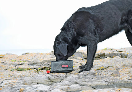 KONG Travel Fold-Up Bowl – Compact Collapsible Water and Food Bowl, Lightweight Design