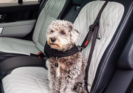 KONG Travel Ultimate Safety Tether – Three-Point Adjustable Car Belt with ISOFIX Compatibility