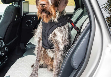 KONG Travel Ultimate Safety Tether – Three-Point Adjustable Car Belt with ISOFIX Compatibility